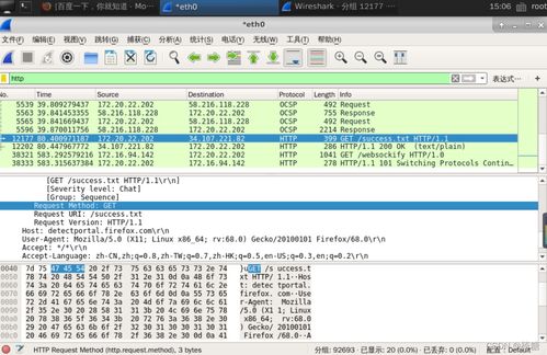 网络嗅探技术在信息安全实验中的应用与软件开发实践
